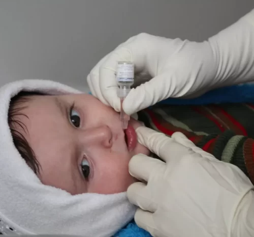 Immunization.png Immunization.png